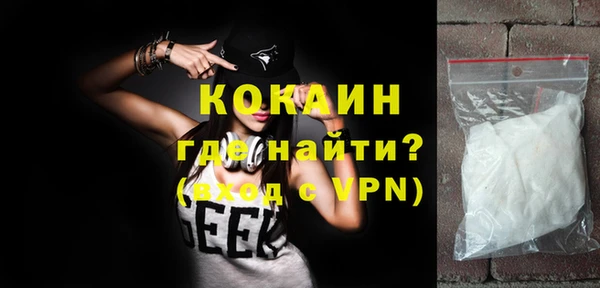 спиды Богородицк