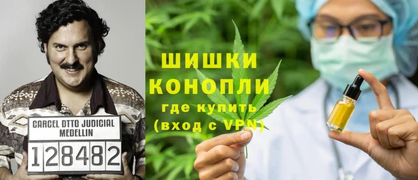 молекула духа Сосновый Бор